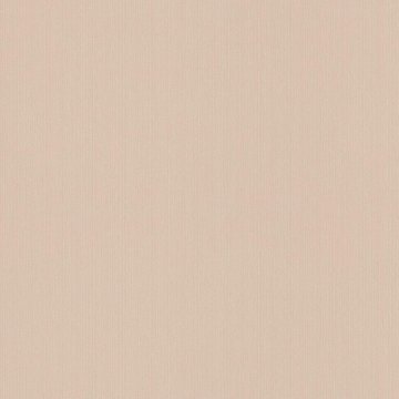 Обои Rasch Maximum New 805840