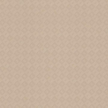 Обои Rasch Maximum New 806137