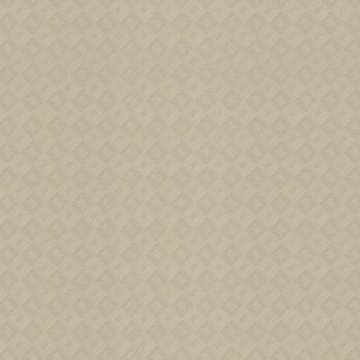 Обои Rasch Maximum New 806144