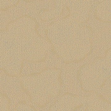 Обои GNI Gaenari Velour 81099-6