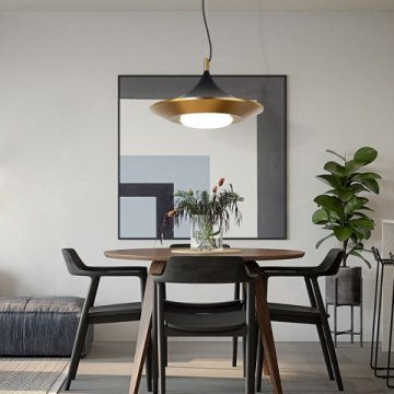 Подвесной светодиодный светильник Imperium Loft Rask 151756-26