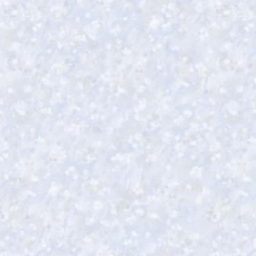 Обои Bernardo Bertolucci Red Carlotta 84218-1