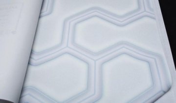 Обои Bernardo Bertolucci Red Carolina 84234-1