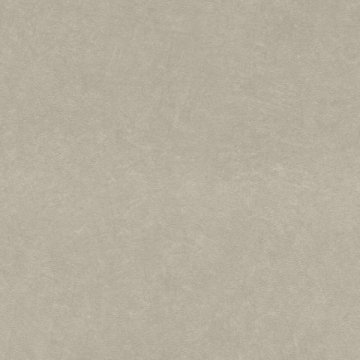 Обои Rasch Barbara 2 860108