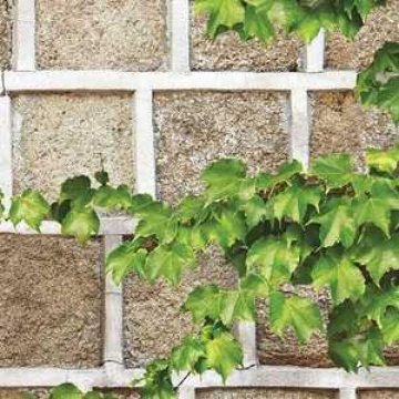 Обои Shinhan Wallcoverings Natural 2 88428-1