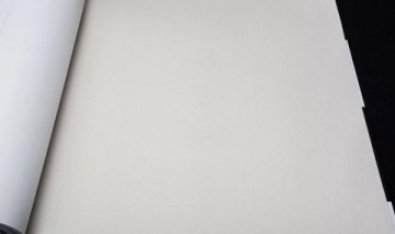 Обои AS Creation High Rise 93929-9