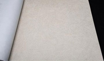 Обои Rasch Factory Style 947465