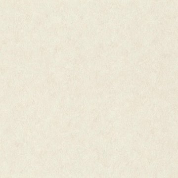 Обои Rasch Factory Style 947649