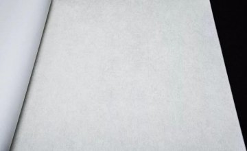 Обои Rasch Raymond 957303