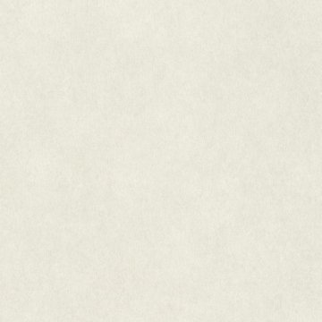 Обои Rasch Raymond 957327