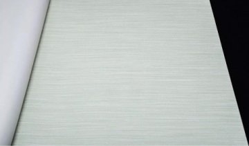 Обои Rasch Maximum 15 959314