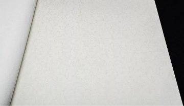 Обои Rasch Maximum 15 959604