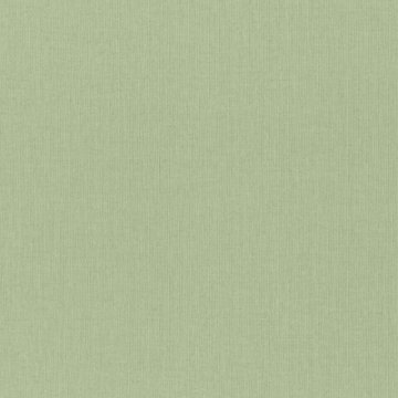 Обои Rasch Maximum 16 960716