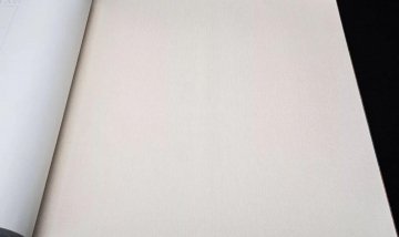 Обои Rasch Maximum 16 960761