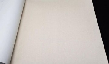 Обои Rasch Maximum 16 960778