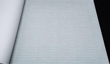 Обои Rasch Axiom 960914