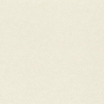 Обои Rasch Filigrano 964806