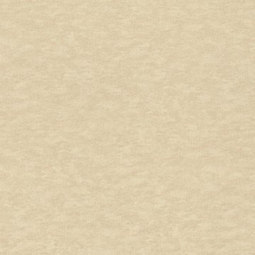 Обои Rasch Filigrano 964851