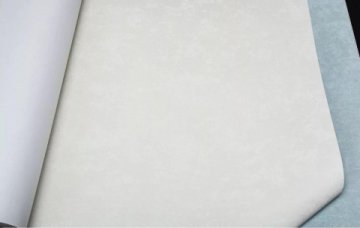 Обои Rasch Magnolia 965001