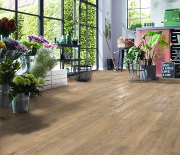 Ламинат Kronotex Exquisit Plus D 6009 Дуб Эльба природный