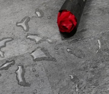 Виниловый SPC пол Betta Monte M909 Атлас