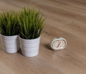 SPC ламинат Aberhof Alfa 2631b Zitrone