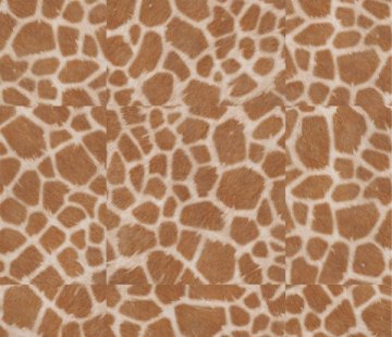 Виниловый пол Tarkett Lounge Digi Edition Benny DJ