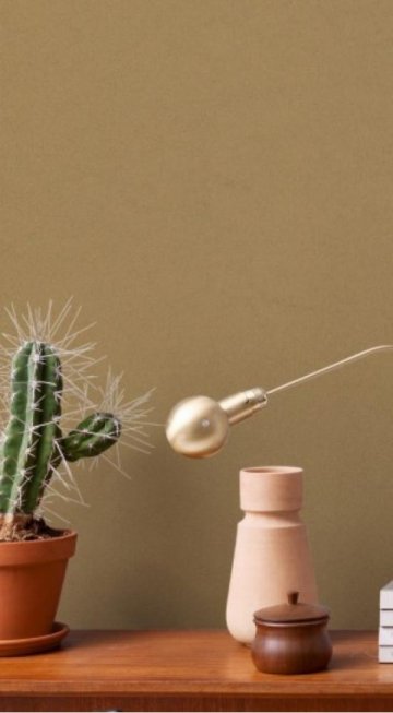 Обои BN Curious BN 17939