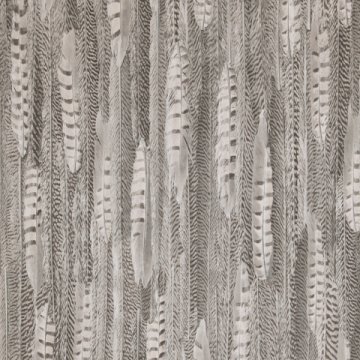 Обои BN Curious BN 17965