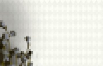 Обои BN Doodleedo BN 220761