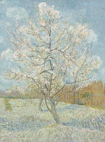 Обои BN Van Gogh BN 30541