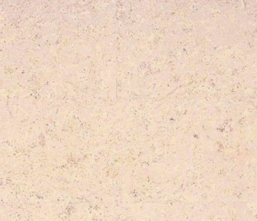 Клеевое напольное пробковое покрытие Corkstyle Eco Cork Madeira White