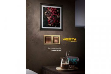 Розетка LAN/TV Vesta-Electric Exclusive Champagne Metallic шампань FRZ00050503BEL