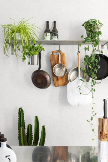 Обои Grandeco Jungle Feaver JF 1301