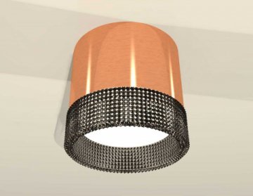 Комплект накладного светильника Ambrella light Techno Spot XS (C8122, N8484) XS8122021