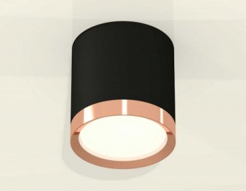 Комплект накладного светильника Ambrella light Techno Spot XS (C8142, N8126) XS8142005