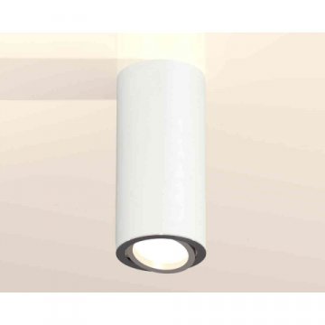 Комплект накладного светильника Ambrella light Techno Spot XS7442003 SWH/PSL белый песок/серебро полированное (C7442, N7003)