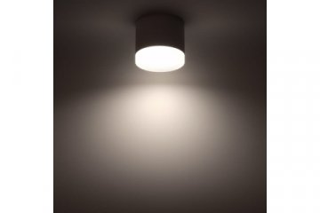 Накладной потолочный светильник Ritter Arton 59946 3