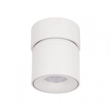 Накладной светодиодный светильник Loft IT Tictac 10180 White