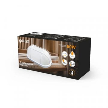 Настенно-потолочный светильник Gauss 926602216