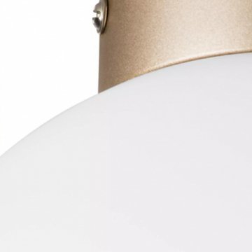 Настенно-потолочный светильник Lightstar Globo 812023