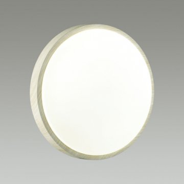 Настенно-потолочный светодиодный светильник Sonex Losta 7628/CL