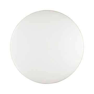 Настенно-потолочный светодиодный светильник Sonex Tan Lassa 3043/CL