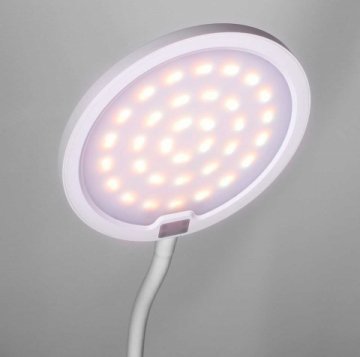 Настольная лампа Camelion KD-836 C01 13887