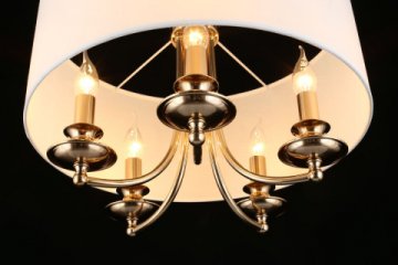 Подвесная люстра Aployt Berze APL.721.06.05