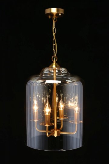 Подвесная люстра Aployt Polin APL.603.06.06