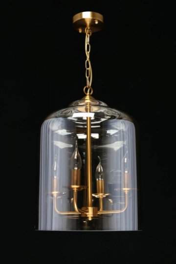 Подвесная люстра Aployt Polin APL.603.06.06