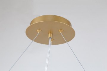 Подвесная люстра Favourite Ginkoa 4080-10P