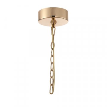 Подвесная люстра Favourite Ignis 2882-19P