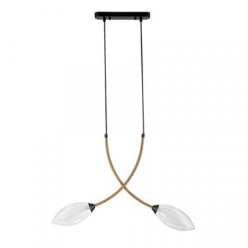 Подвесная люстра Indigo Fiore 13001/2P Black V000140